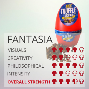 magic truffle grow kit fantasia