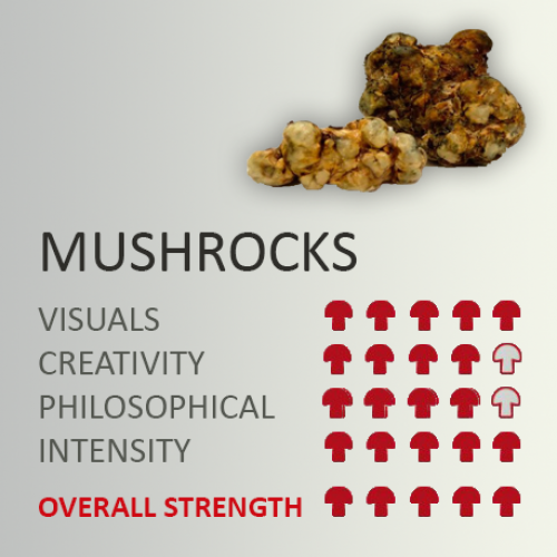 magic truffle mushrocks