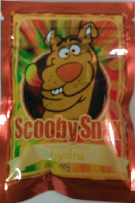 Scooby Snax Hydro incense review